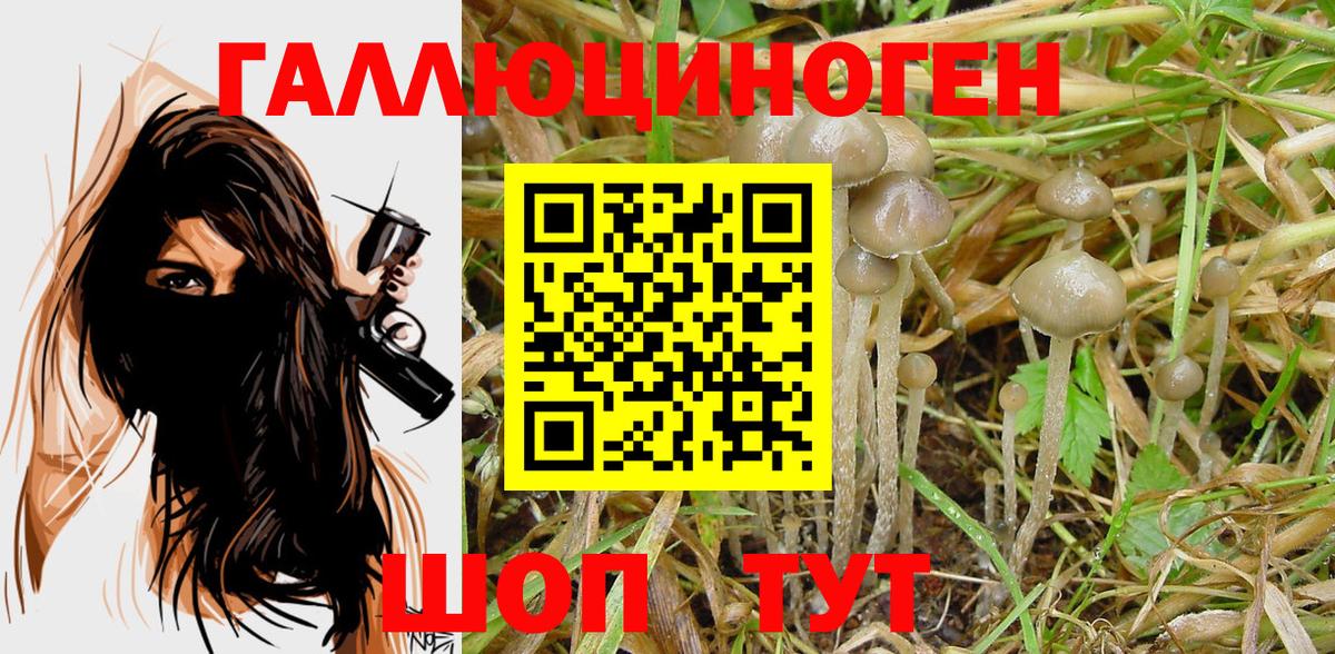 Галлюциногенные грибы Cubensis  Галлюциногенные грибы Magic Shrooms  Вход с VPN  Моздок 